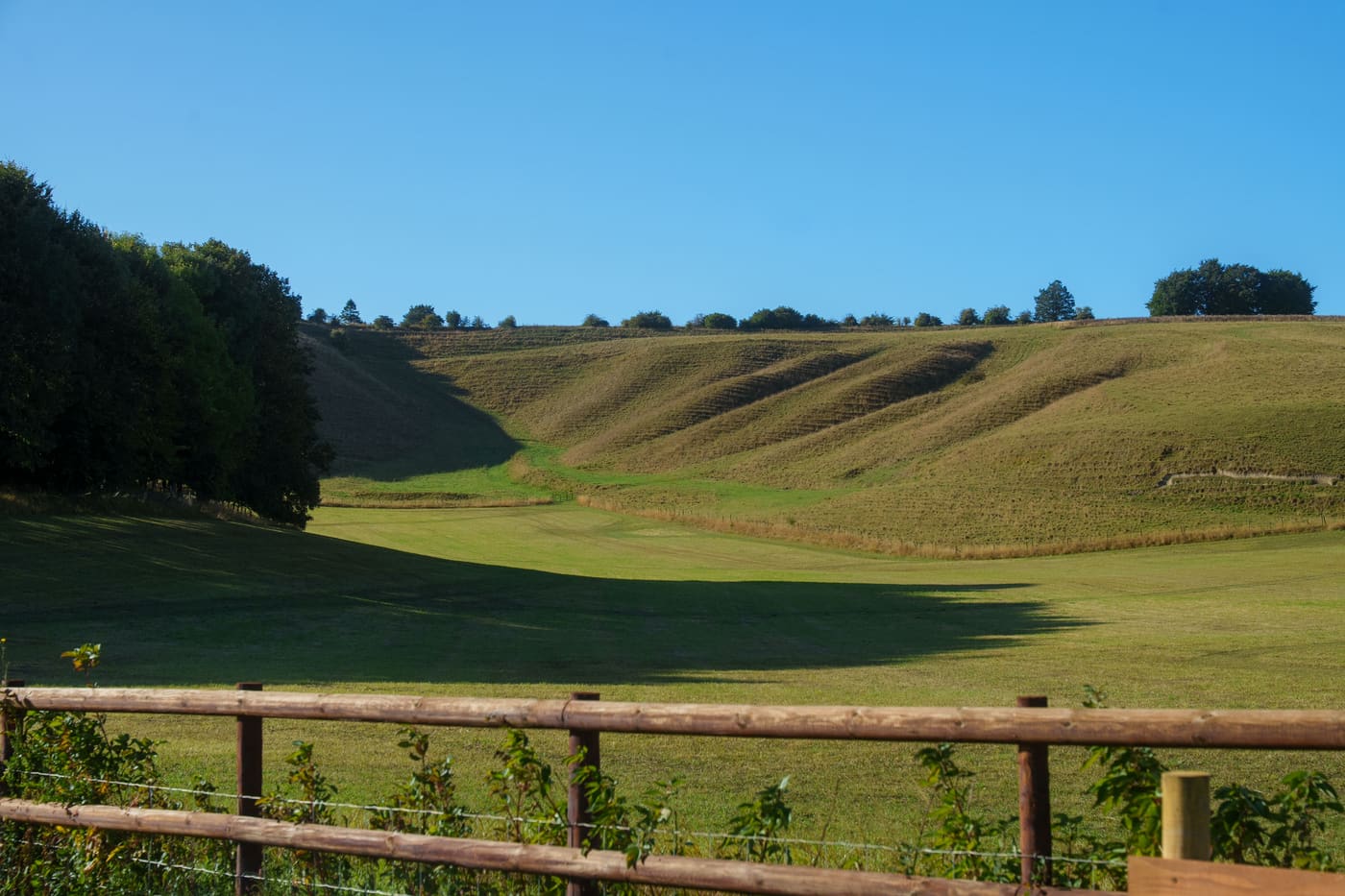 The open combe and Downs beyond the fence line